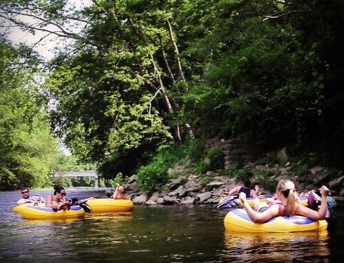 Paddle Through Natural Beauty And Adventure At Little Miami Canoe Rental In Ohio