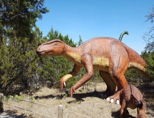 Step Back In Time At Dinosaur World In Glen Rose For An Unforgettable Prehistoric Adventure