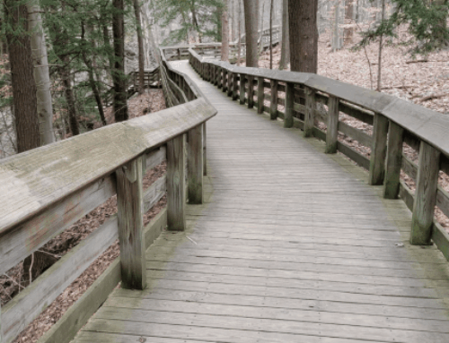 Discover A Waterfall Wonderland At Ohio’s Enchanting Brandywine Falls