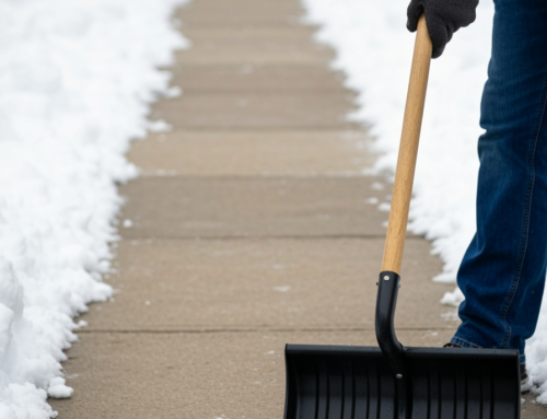 Buffalo Reminds Residents: Shovel Your Sidewalks or Face Fines